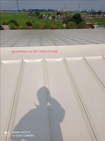 Sản phẩm Thép Mạ Nhôm Kẽm Màu Clean Colorbond® ULTRA ACTIVE của Bluescope